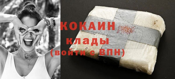 гидра Белокуриха
