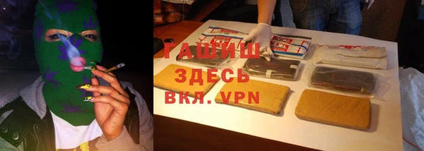 гидра Белокуриха