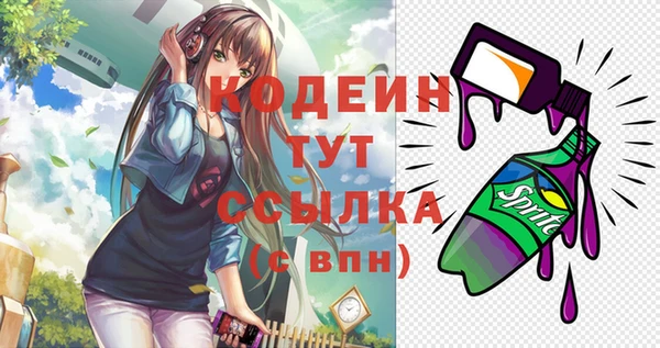 хмурый Богородицк